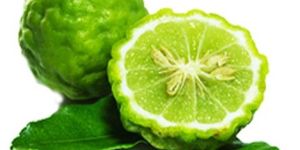 Bergamot Oil