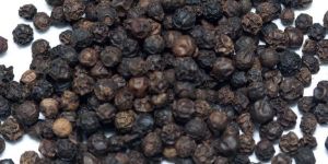Black Pepper