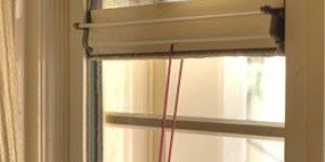 Roller Window Screens