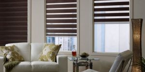 Zebra Blinds
