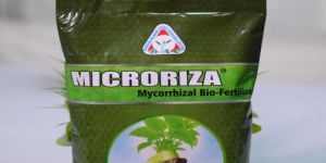 Mycorrhizal Bio Fertilizer