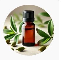 Cardamom Essential Oil