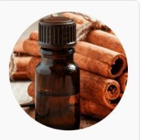 Cinnamon Bark Essential Oil