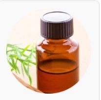Cinnamon Leaf Essential Oil