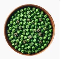 Plantrich Green Pepper