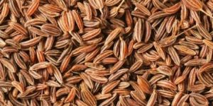 Shahjeera (Caraway) Seeds