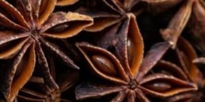 Star Anise