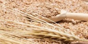 Wheat Bran