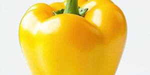 Fresh Yellow Bell Pepper