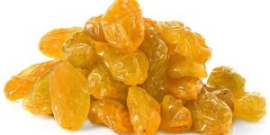 Yellow Raisins