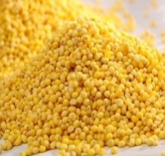 Yellow Millet