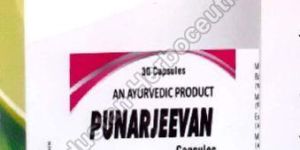 Punarjeevan Kidney Care Capsule