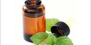 Mentha Arvensis Oil