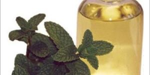 Peppermint Oil