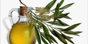 Tea Tree Oil