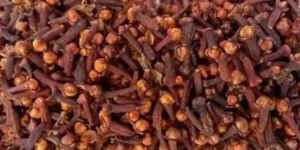 Indonesia Lalpari Brown Natural Dry Cloves