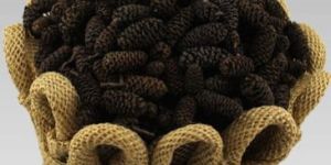 pot pourri brich pine air freshener