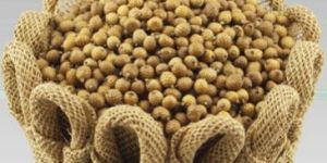 Pot Pourri Canella Seed