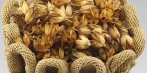 hibiscus pod potpourri