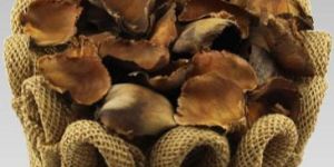 natural dried palm leaves