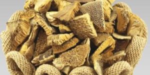 sponge cutting potpourri