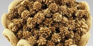 Star Flower Dried Potpourri