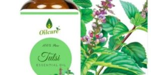 Tulsi Essential Oil