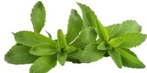 Organic Stevia Leaves 50g Jar