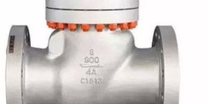 Swing Flex Check Valve, ASTM A995 4A, 8 Inch, 900 LB, Bw End