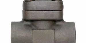 Swing Lift Check Valve, Alloy N08020, 1/2-2 Inch, 800-2500 LB