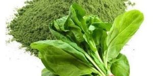 Spinach Leaf Powder
