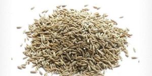 Brown Cumin Seed
