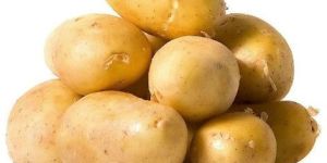 Fresh Potato