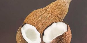 Indian Fresh Coconut