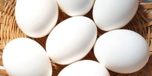 White Chicken Eggs