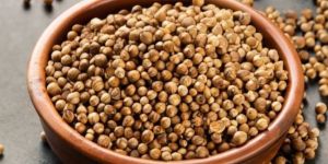 Coriander Seeds