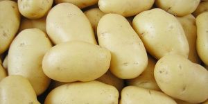 Fresh Potato
