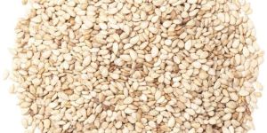 Sesame Seeds