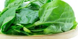 Spinach Leaves