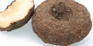 Suran Elephant Yam