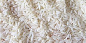 Sona Masoori Raw Rice