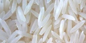 Sugandha White Raw Rice