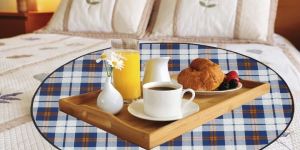 Waterproof Oil Proof Bed Server Circle Mat