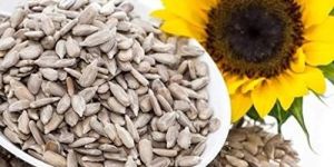 Raw Sunflower Seeds