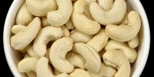 cashew 320 nut
