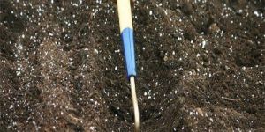 Organic Vermicompost Fertilizer