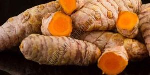 Natural Raw Turmeric Finger