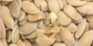 Hybrid Cucumber Seeds