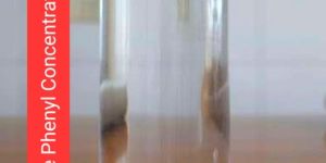 Mogra Phenyle Concentrate