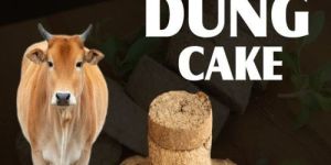 Cow Dung Cake